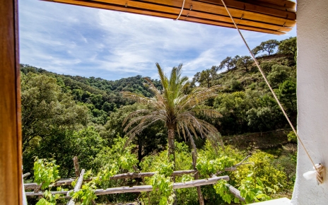 Views from your bedroom